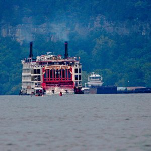 Missippi Queen Meets Tow - Wheeler Lake