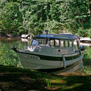 Early Morning on Shoal Creek
