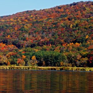 Beautiful fall day on Lake Guntersville presents brilliant color in the glassy river.