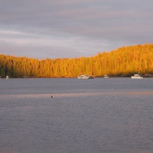 Blunden Harbor, BC