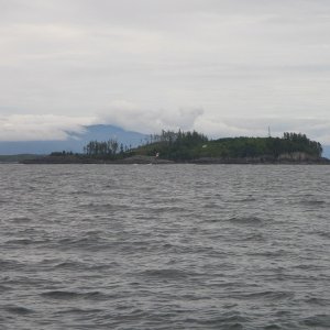 Egg Island, Queen Charlotte Sound, BC