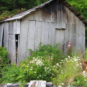 Generator shed made from hand-hewn cedar planks, Myers Chuck