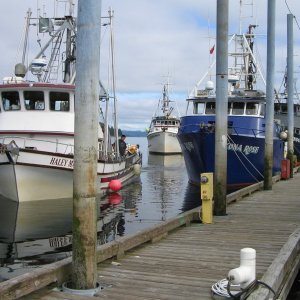 Craig Harbor.  The seine fishing fleet comes in to the harbor between fishing openings.