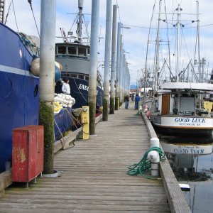 Fishing fleet , Craig docks