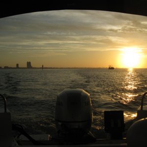 the view out the back