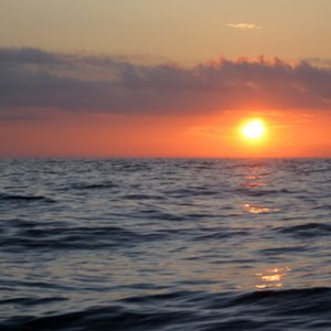 Media 'Waves in the Gulf' in album 'Before sunrise'