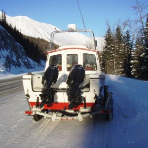 The twin 50's - Evinrude E-tec's.