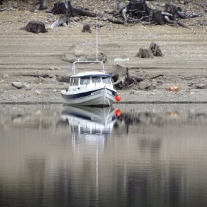 Media '' in album 'Strathcona Provincial Park'