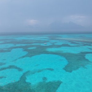 Media 'Molasses reef channel' in album 'Rodriguez key sandbar'