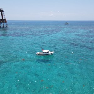 Media 'Carysfort' in album 'Rodriguez key sandbar'