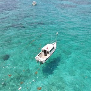 Media 'Carysfort' in album 'Rodriguez key sandbar'