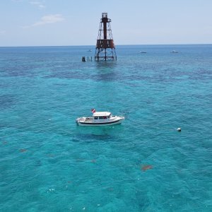 Media 'Carysfort' in album 'Rodriguez key sandbar'