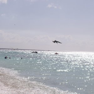 P1010046