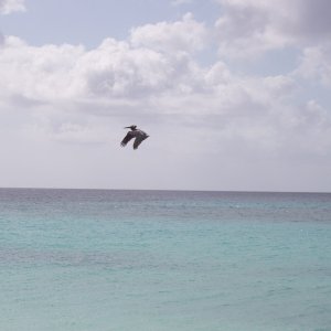 P1010052