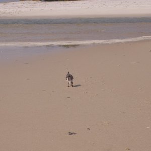 P9250006
