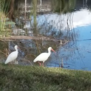 20180210 160746