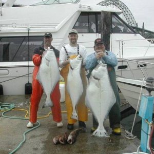 (Mr. Fisherman) Crew catch week 2