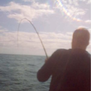 Fishon.jpg
