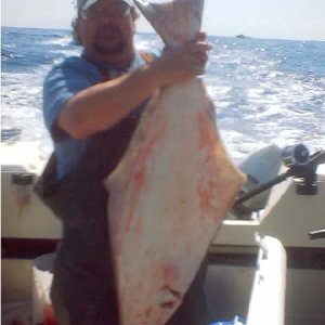 Rayfish0.jpg