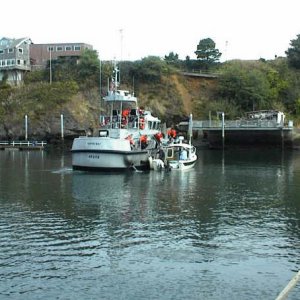 Coast Guard Rescue.jpg