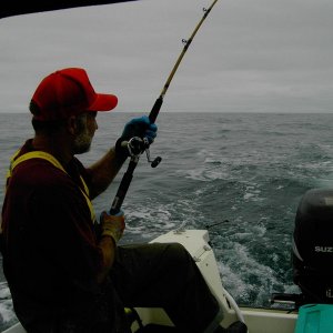 (Mr. Fisherman)