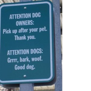 Media 'dog sign' in album 'Ray on Sea Lion.jpg'