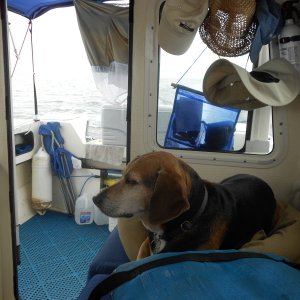 Second mate and Scout