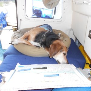 Monty is following the charts