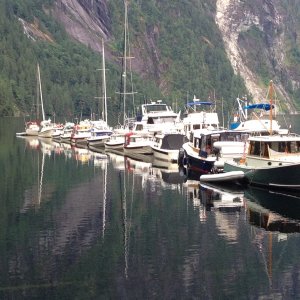 C Dory fleet.  Princess Louisa June 2014