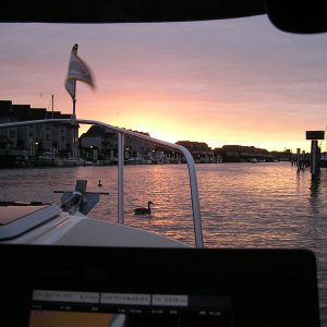 Coming home at sunset