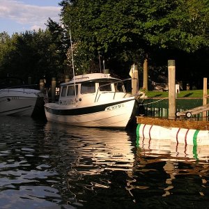 FawnIsland Ont.