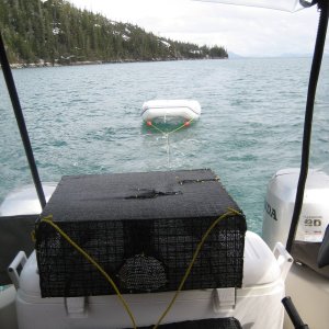 Dinghy Tow Harness