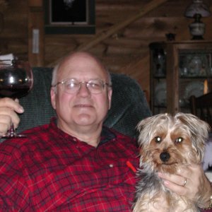 Andy the wonder dog and me