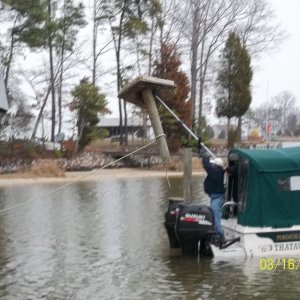 Lopped off the Pole with an Electric Chainsaw