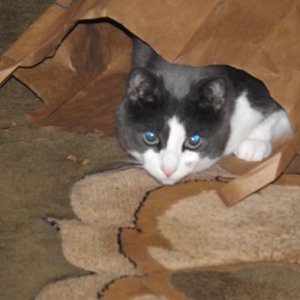 Bonnie in the \"Bag\"