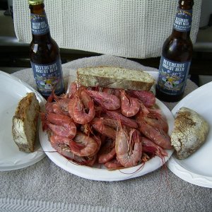 Shrimp delicious
