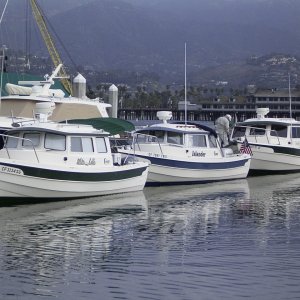 Water Lillie, Islander, Dora Jean