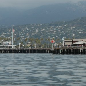 Media 'Sterns Wharf' in album 'Santa Barbara palm trees for TyBoo'