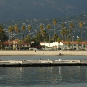 Bait Dock