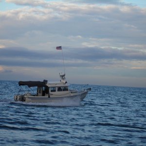 SB06 1-Fish Tales Flying the Colors