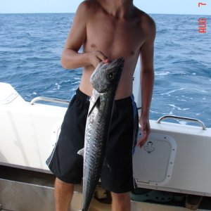 Wholey Mackeral!