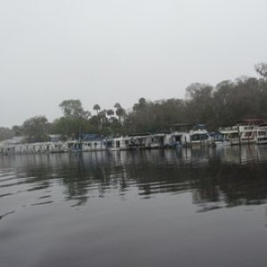The Saint John's near Holly Bluff marina and Hontoon Park