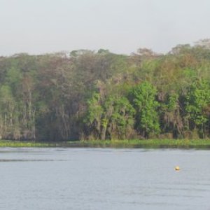 The entrance to the Ocklawaha river of the St. John's river near Welaka