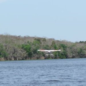 This bad boy and plane came right over us pretty low and landed in the river right behind us, who would have thought this would happen?