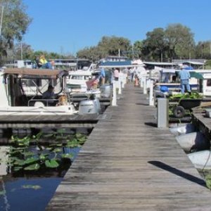 not sure of total # of boats