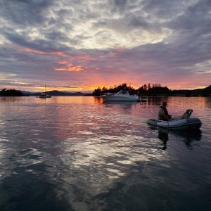 Media 'Returning with Juno' in album 'Bowfest on Bowen Island'