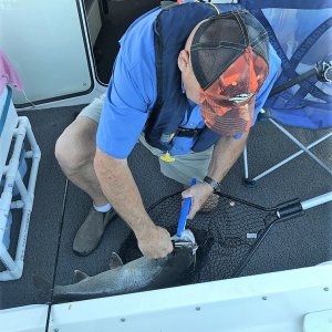 C-Otter Tom working on a Lake Trout