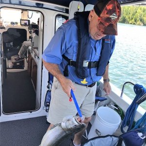 C-Otter Tom working on a Lake Trout