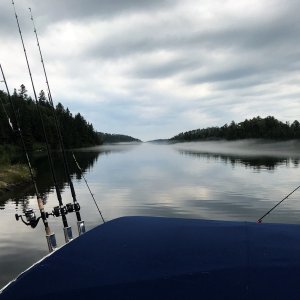 Fog in McCargoe Cove