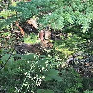 This little fella was watching us